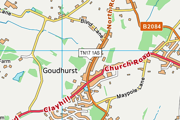 TN17 1AS map - OS VectorMap District (Ordnance Survey) TN17 1AS map - OS VectorMap District (Ordnance Survey)