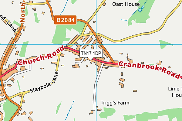 TN17 1DP map - OS VectorMap District (Ordnance Survey) TN17 1DP map - OS VectorMap District (Ordnance Survey)