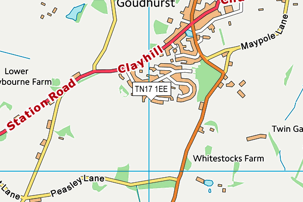 TN17 1EE map - OS VectorMap District (Ordnance Survey) TN17 1EE map - OS VectorMap District (Ordnance Survey)