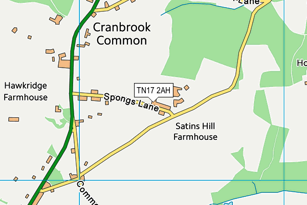 TN17 2AH map - OS VectorMap District (Ordnance Survey) TN17 2AH map - OS VectorMap District (Ordnance Survey)