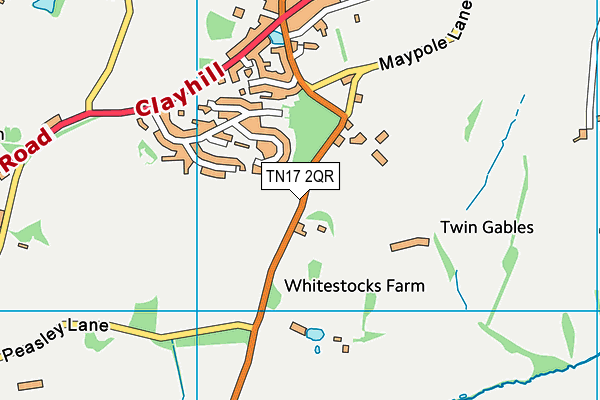 TN17 2QR map - OS VectorMap District (Ordnance Survey) TN17 2QR map - OS VectorMap District (Ordnance Survey)