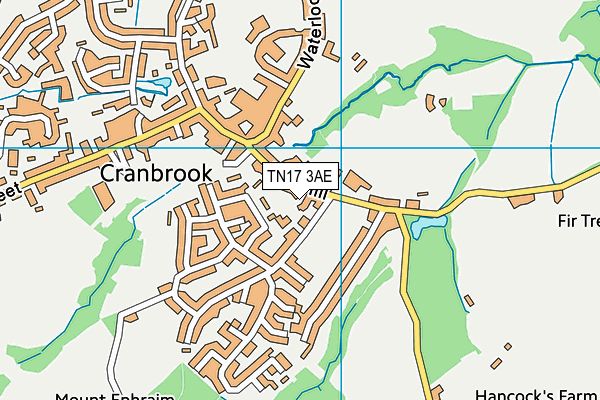 TN17 3AE map - OS VectorMap District (Ordnance Survey) TN17 3AE map - OS VectorMap District (Ordnance Survey)