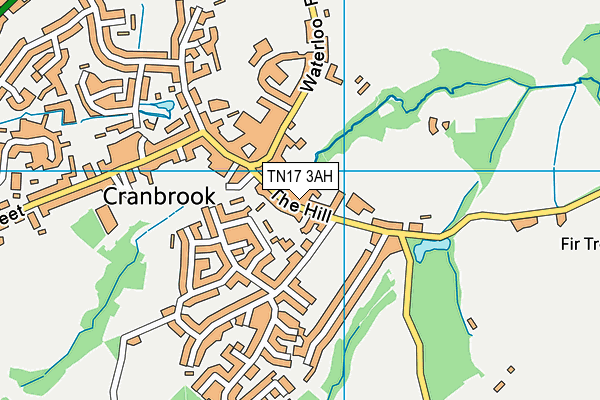 TN17 3AH map - OS VectorMap District (Ordnance Survey) TN17 3AH map - OS VectorMap District (Ordnance Survey)