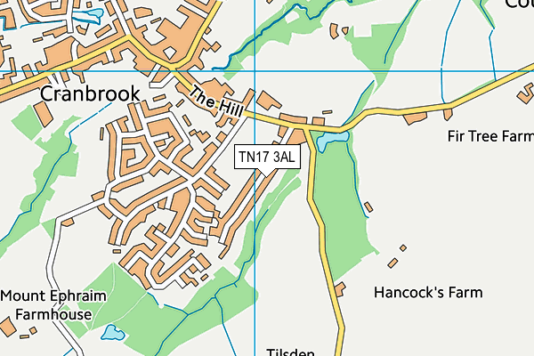 TN17 3AL map - OS VectorMap District (Ordnance Survey) TN17 3AL map - OS VectorMap District (Ordnance Survey)
