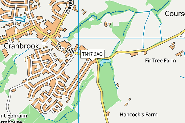 TN17 3AQ map - OS VectorMap District (Ordnance Survey)