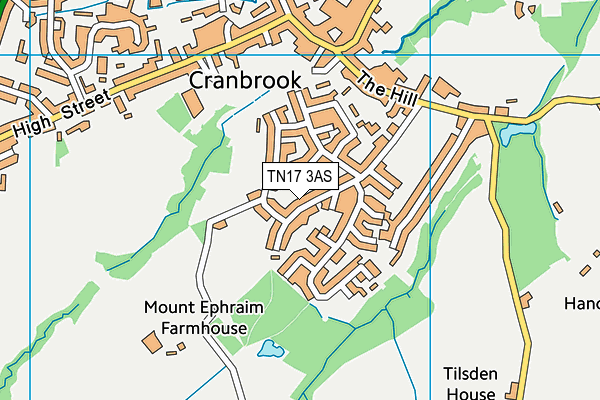 TN17 3AS map - OS VectorMap District (Ordnance Survey) TN17 3AS map - OS VectorMap District (Ordnance Survey)