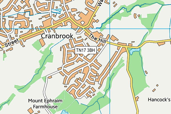 TN17 3BH map - OS VectorMap District (Ordnance Survey) TN17 3BH map - OS VectorMap District (Ordnance Survey)