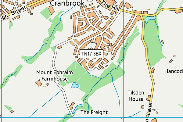 TN17 3BX map - OS VectorMap District (Ordnance Survey) TN17 3BX map - OS VectorMap District (Ordnance Survey)
