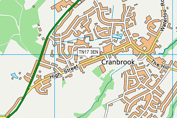 TN17 3EN map - OS VectorMap District (Ordnance Survey) TN17 3EN map - OS VectorMap District (Ordnance Survey)