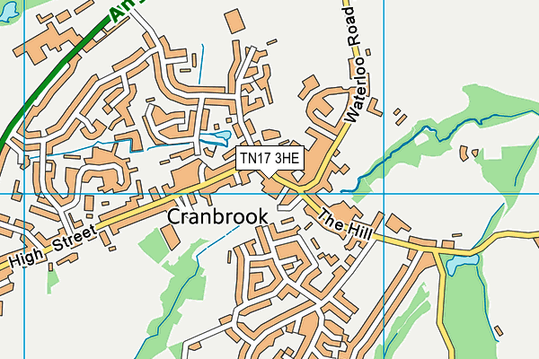 TN17 3HE map - OS VectorMap District (Ordnance Survey) TN17 3HE map - OS VectorMap District (Ordnance Survey)