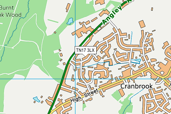 TN17 3LX map - OS VectorMap District (Ordnance Survey) TN17 3LX map - OS VectorMap District (Ordnance Survey)
