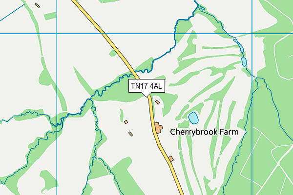 TN17 4AL map - OS VectorMap District (Ordnance Survey) TN17 4AL map - OS VectorMap District (Ordnance Survey)