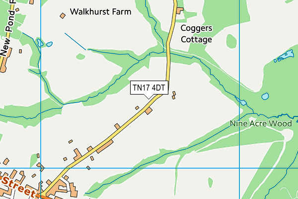 TN17 4DT map - OS VectorMap District (Ordnance Survey) TN17 4DT map - OS VectorMap District (Ordnance Survey)