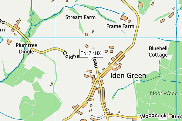 TN17 4HX map - OS VectorMap District (Ordnance Survey) TN17 4HX map - OS VectorMap District (Ordnance Survey)