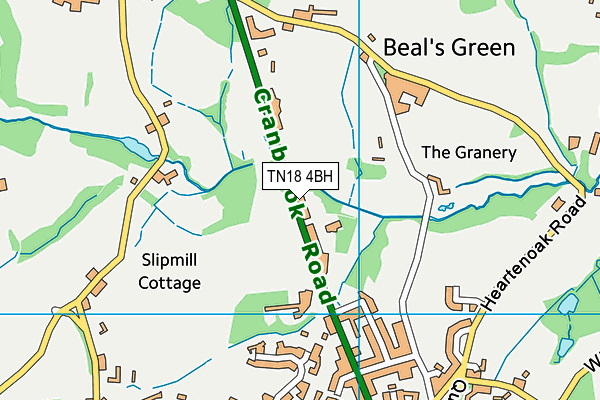 TN18 4BH map - OS VectorMap District (Ordnance Survey) TN18 4BH map - OS VectorMap District (Ordnance Survey)
