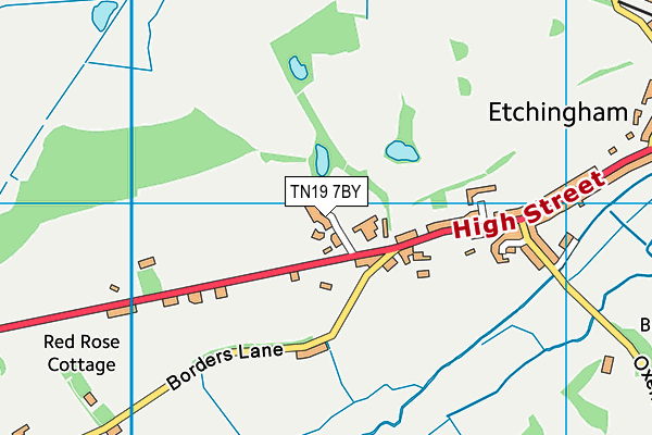 TN19 7BY map - OS VectorMap District (Ordnance Survey) TN19 7BY map - OS VectorMap District (Ordnance Survey)