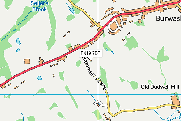 TN19 7DT map - OS VectorMap District (Ordnance Survey) TN19 7DT map - OS VectorMap District (Ordnance Survey)