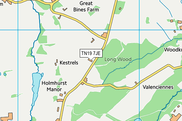 TN19 7JE map - OS VectorMap District (Ordnance Survey) TN19 7JE map - OS VectorMap District (Ordnance Survey)
