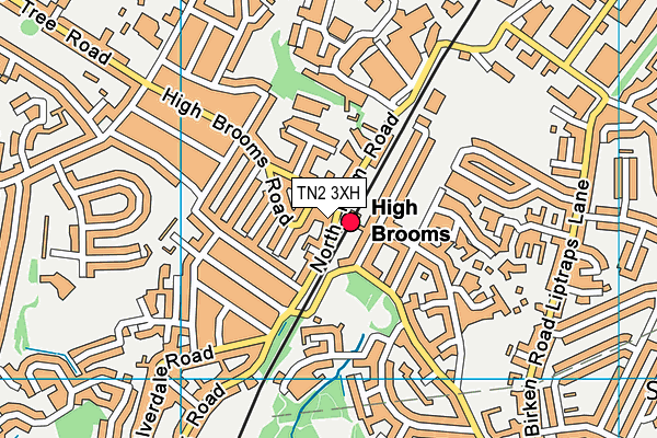 TN2 3XH map - OS VectorMap District (Ordnance Survey) TN2 3XH map - OS VectorMap District (Ordnance Survey)