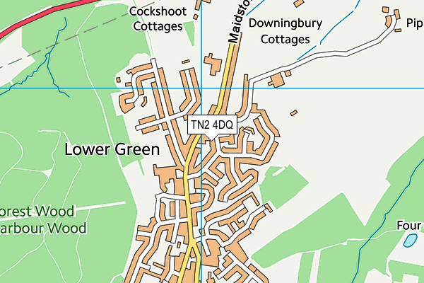 TN2 4DQ map - OS VectorMap District (Ordnance Survey) TN2 4DQ map - OS VectorMap District (Ordnance Survey)
