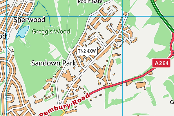TN2 4XW map - OS VectorMap District (Ordnance Survey) TN2 4XW map - OS VectorMap District (Ordnance Survey)