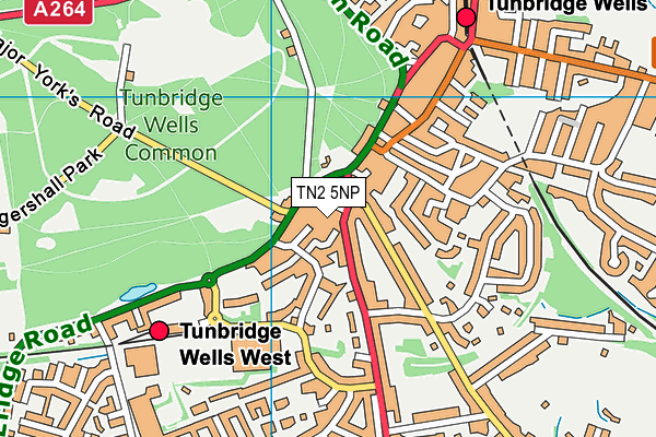 TN2 5NP map - OS VectorMap District (Ordnance Survey) TN2 5NP map - OS VectorMap District (Ordnance Survey)