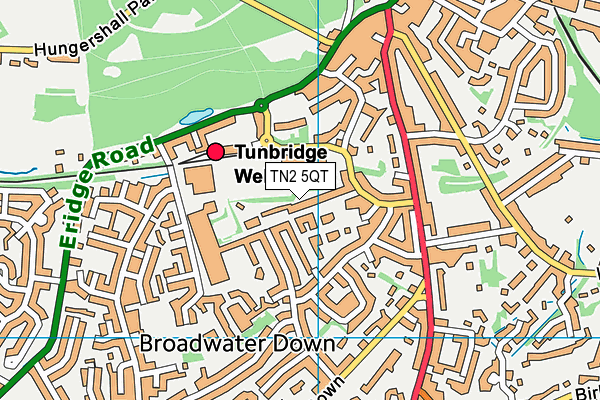 TN2 5QT map - OS VectorMap District (Ordnance Survey) TN2 5QT map - OS VectorMap District (Ordnance Survey)