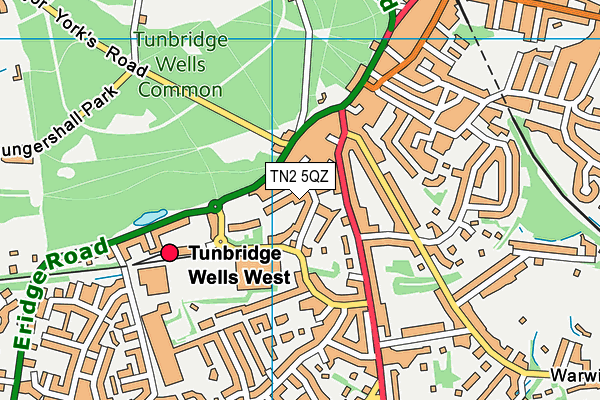 TN2 5QZ map - OS VectorMap District (Ordnance Survey) TN2 5QZ map - OS VectorMap District (Ordnance Survey)