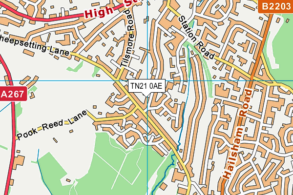 TN21 0AE map - OS VectorMap District (Ordnance Survey) TN21 0AE map - OS VectorMap District (Ordnance Survey)