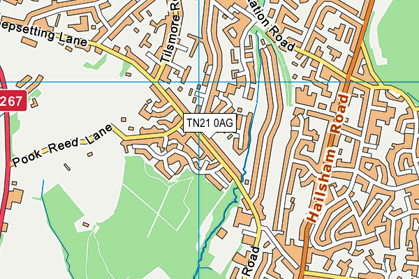 TN21 0AG map - OS VectorMap District (Ordnance Survey) TN21 0AG map - OS VectorMap District (Ordnance Survey)