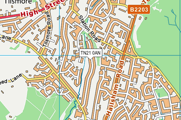 TN21 0AN map - OS VectorMap District (Ordnance Survey) TN21 0AN map - OS VectorMap District (Ordnance Survey)