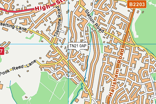 TN21 0AP map - OS VectorMap District (Ordnance Survey) TN21 0AP map - OS VectorMap District (Ordnance Survey)