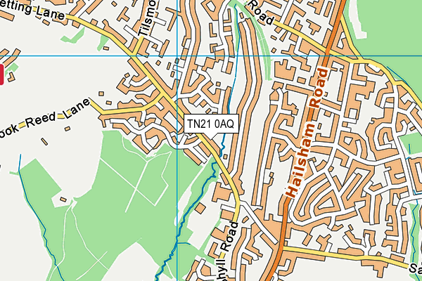 TN21 0AQ map - OS VectorMap District (Ordnance Survey)