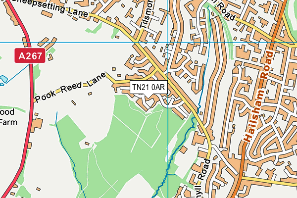 TN21 0AR map - OS VectorMap District (Ordnance Survey) TN21 0AR map - OS VectorMap District (Ordnance Survey)