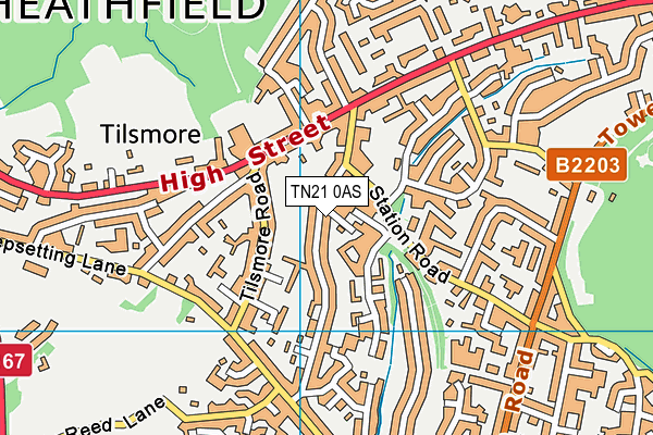 TN21 0AS map - OS VectorMap District (Ordnance Survey) TN21 0AS map - OS VectorMap District (Ordnance Survey)