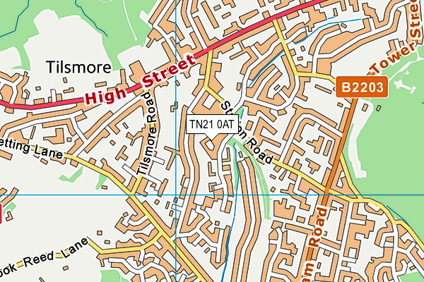 TN21 0AT map - OS VectorMap District (Ordnance Survey)