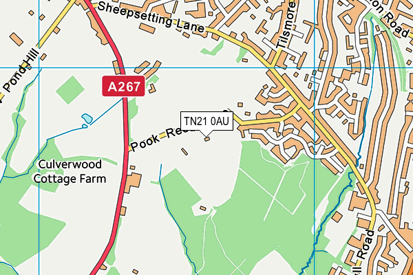 TN21 0AU map - OS VectorMap District (Ordnance Survey)