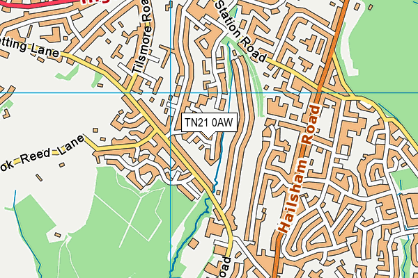 TN21 0AW map - OS VectorMap District (Ordnance Survey) TN21 0AW map - OS VectorMap District (Ordnance Survey)
