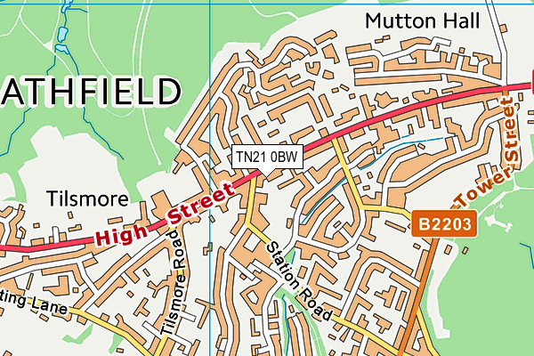 TN21 0BW map - OS VectorMap District (Ordnance Survey) TN21 0BW map - OS VectorMap District (Ordnance Survey)