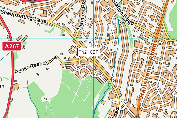 TN21 0DP map - OS VectorMap District (Ordnance Survey) TN21 0DP map - OS VectorMap District (Ordnance Survey)