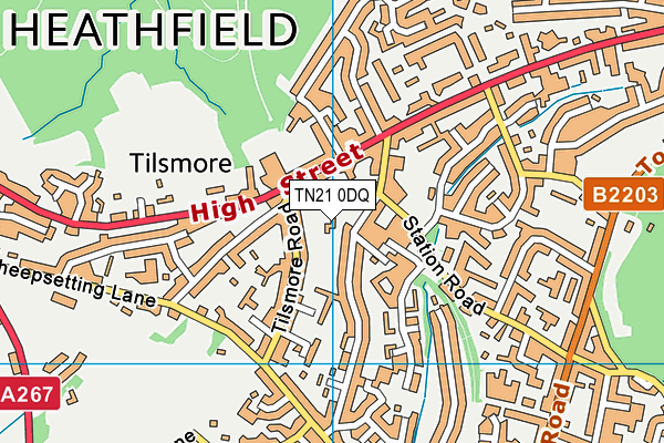 TN21 0DQ map - OS VectorMap District (Ordnance Survey) TN21 0DQ map - OS VectorMap District (Ordnance Survey)