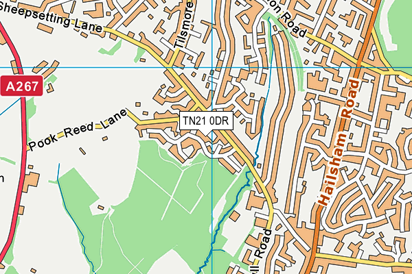 TN21 0DR map - OS VectorMap District (Ordnance Survey) TN21 0DR map - OS VectorMap District (Ordnance Survey)