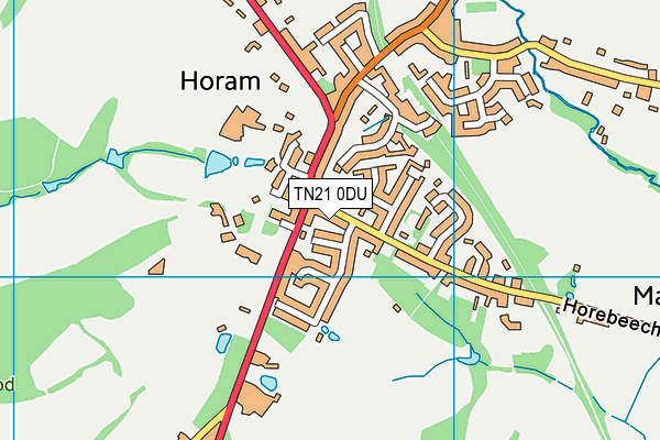 TN21 0DU map - OS VectorMap District (Ordnance Survey) TN21 0DU map - OS VectorMap District (Ordnance Survey)