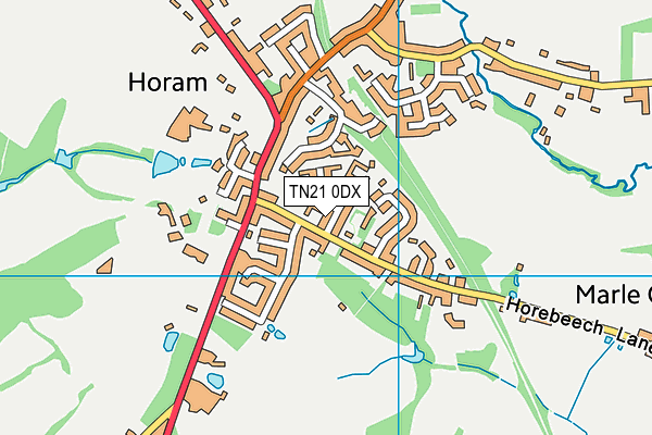 TN21 0DX map - OS VectorMap District (Ordnance Survey) TN21 0DX map - OS VectorMap District (Ordnance Survey)