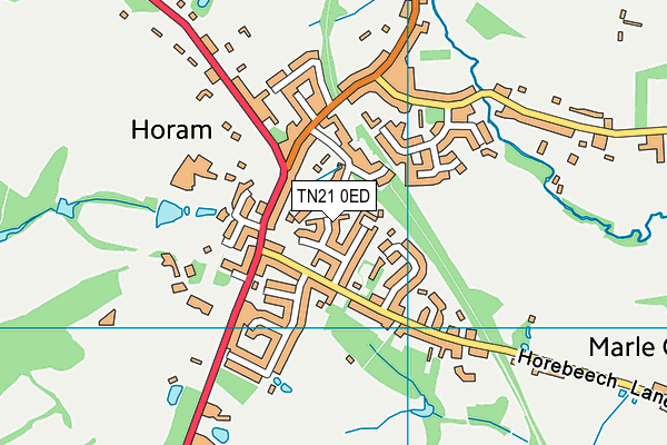 TN21 0ED map - OS VectorMap District (Ordnance Survey) TN21 0ED map - OS VectorMap District (Ordnance Survey)