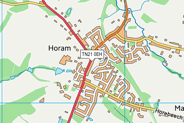 TN21 0EH map - OS VectorMap District (Ordnance Survey) TN21 0EH map - OS VectorMap District (Ordnance Survey)