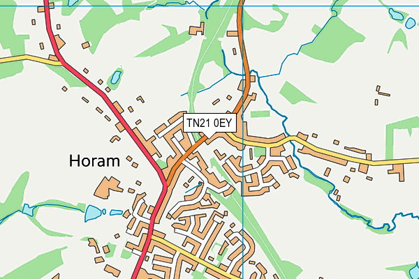 TN21 0EY map - OS VectorMap District (Ordnance Survey) TN21 0EY map - OS VectorMap District (Ordnance Survey)