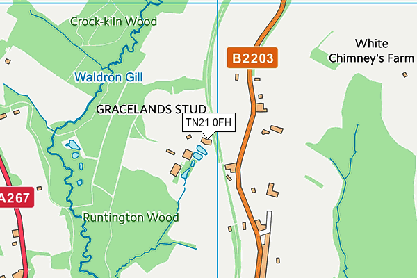 TN21 0FH map - OS VectorMap District (Ordnance Survey) TN21 0FH map - OS VectorMap District (Ordnance Survey)