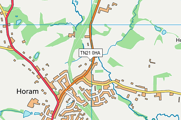 TN21 0HA map - OS VectorMap District (Ordnance Survey) TN21 0HA map - OS VectorMap District (Ordnance Survey)