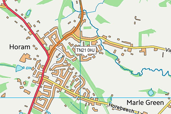 TN21 0HJ map - OS VectorMap District (Ordnance Survey) TN21 0HJ map - OS VectorMap District (Ordnance Survey)
